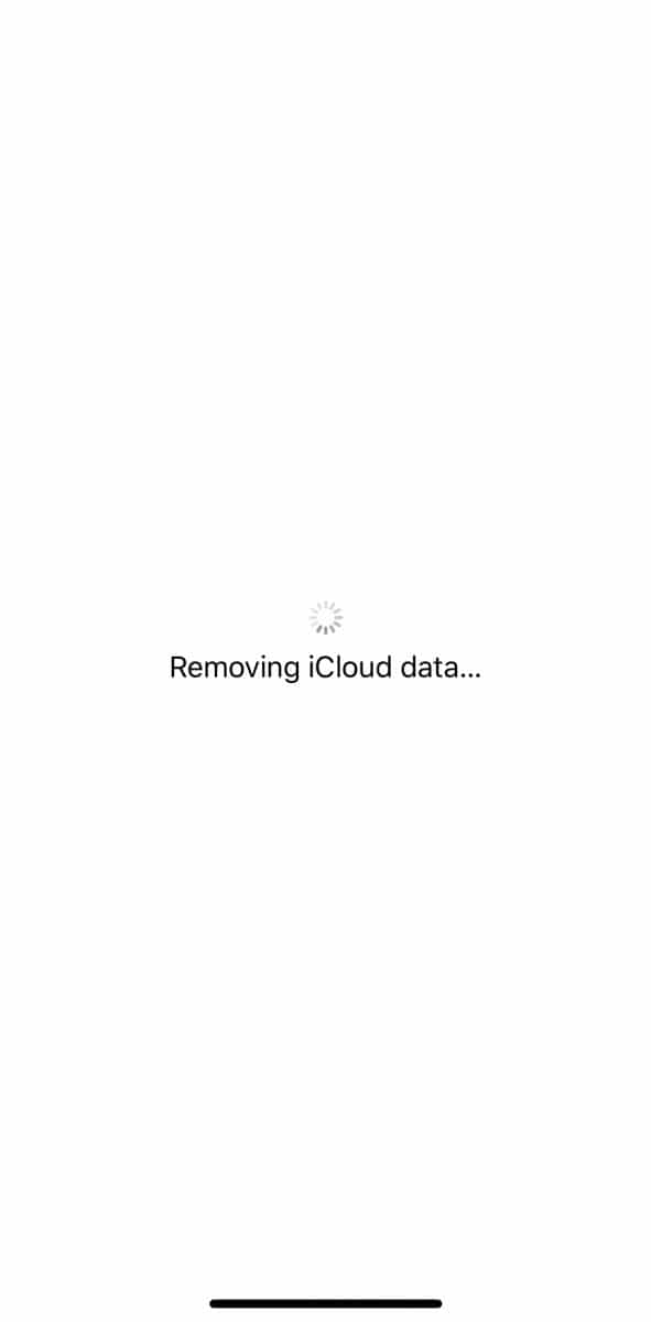 removing icloud data