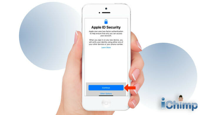 Apple ID security