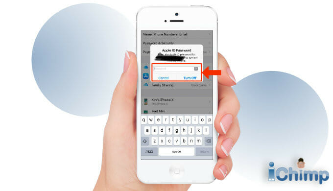 iCloud sign out Apple ID password