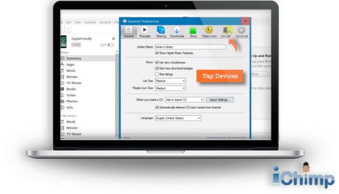 iTunes devices option