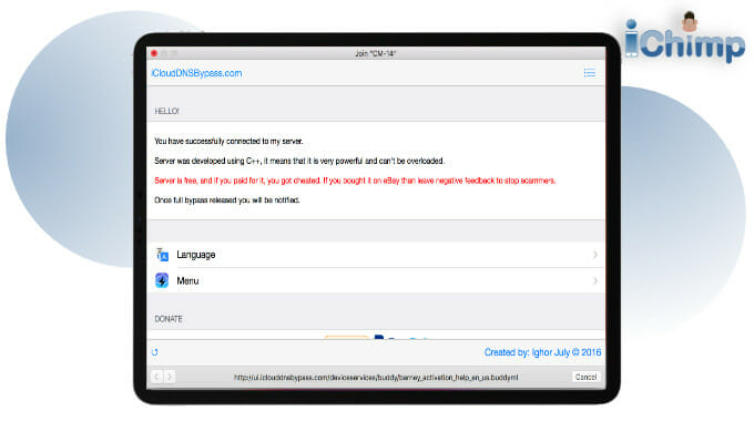 iCloud DNS bypass screen