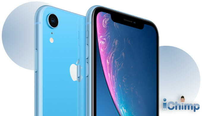 iPhone XR